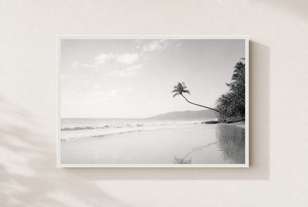 The Leaning Palm, framed, white