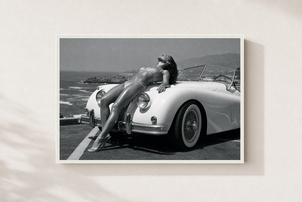 Roadster, Coastline, framed, white
