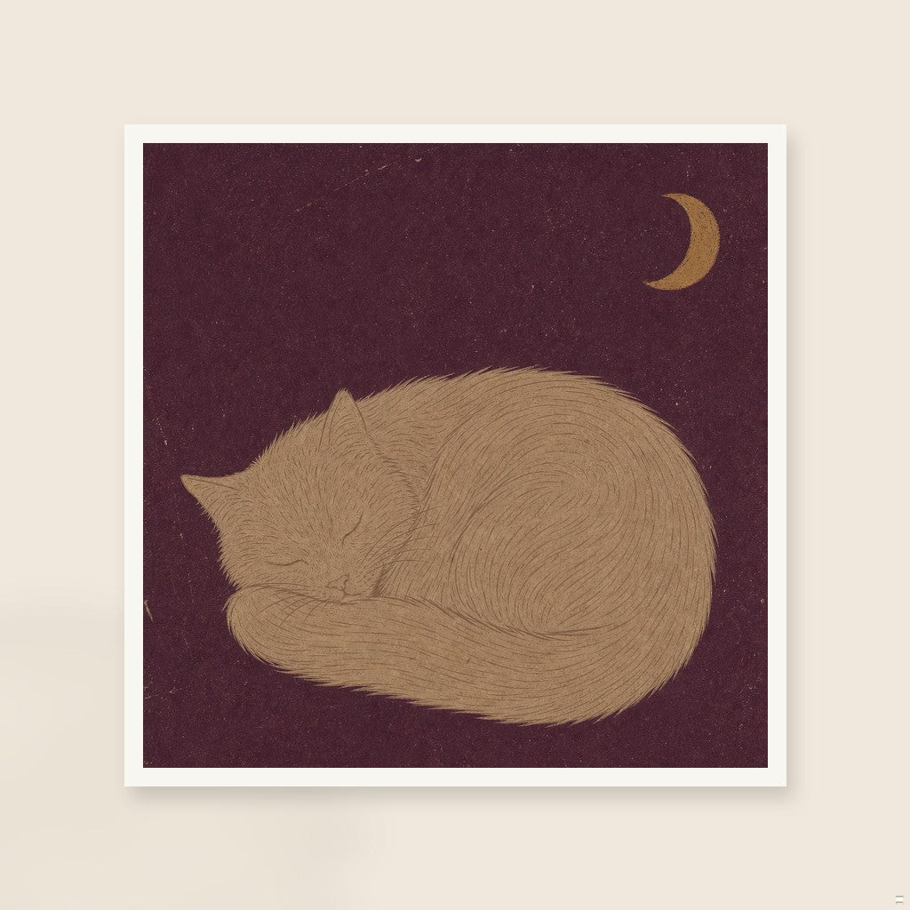 The Cat Knows, framed close-up, white