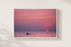 Swim at Sundown, framed, white