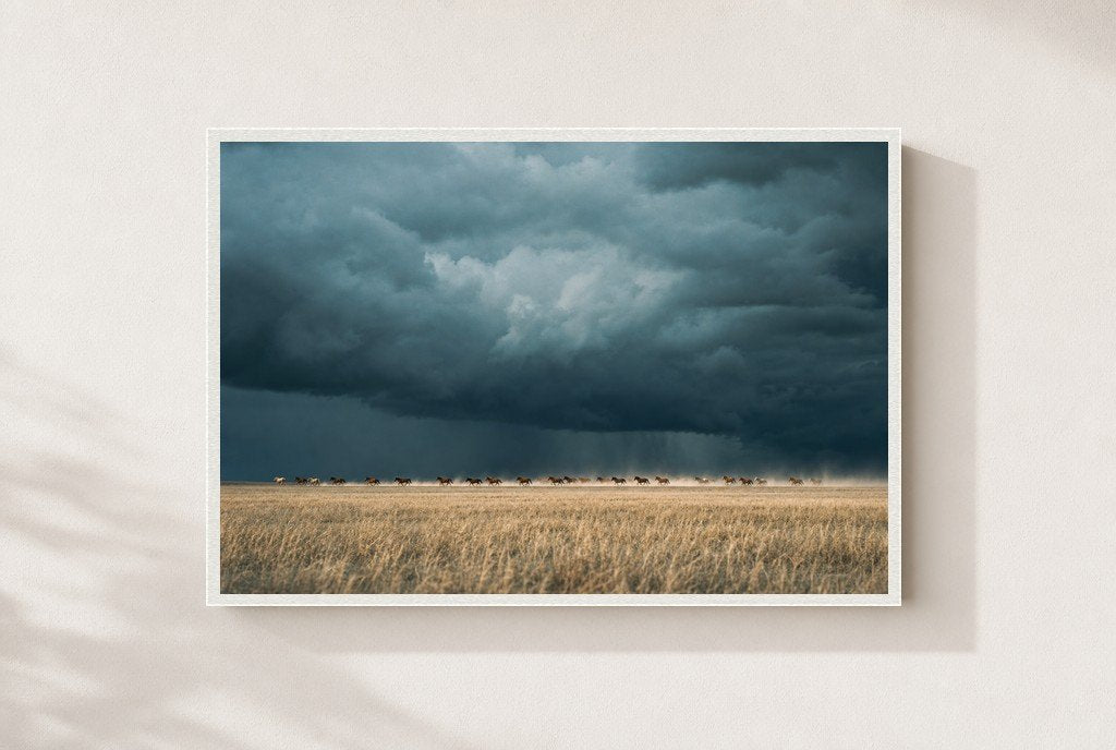 Before the Squall, framed, white