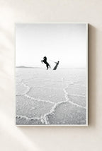 Horse on the Salt Flats, framed, white