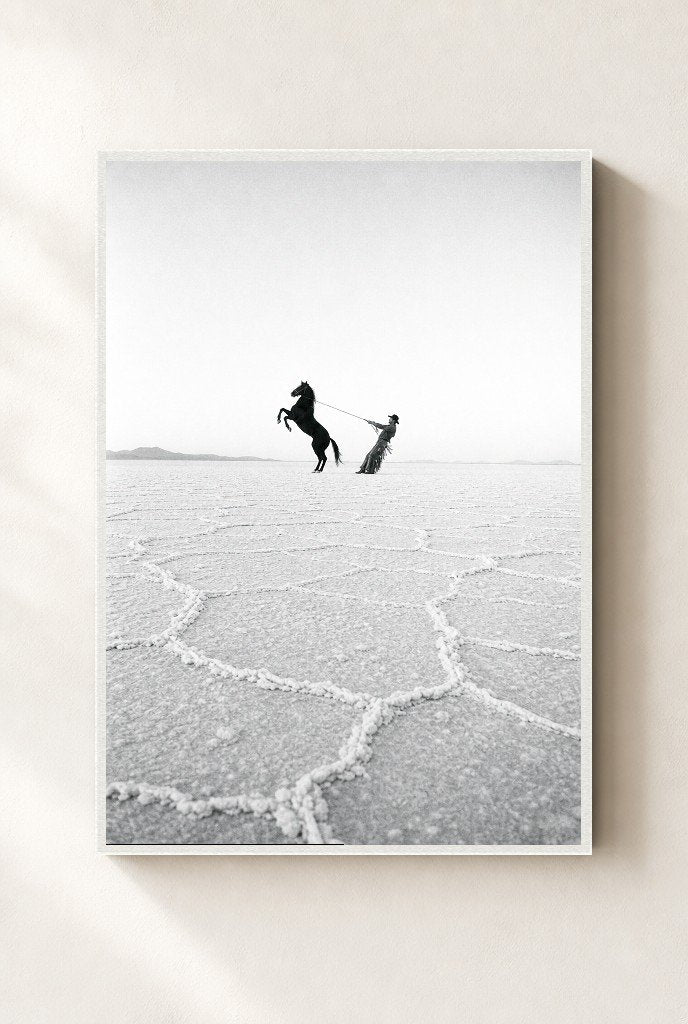 Horse on the Salt Flats, framed, white