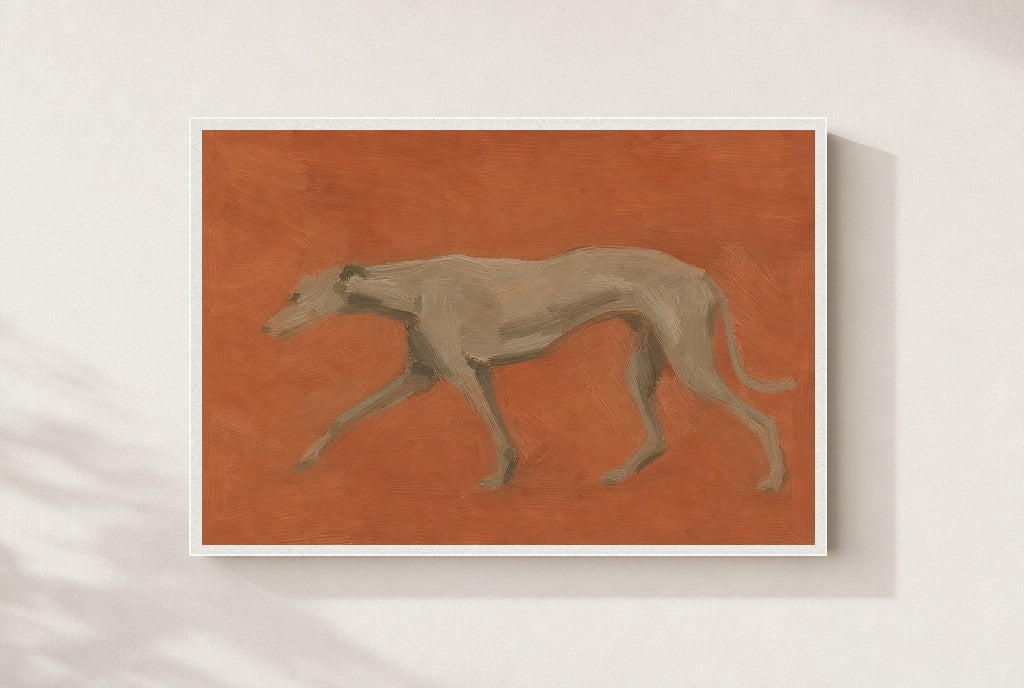 Flat Greyhound, framed close-up, white