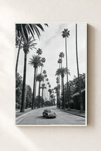 Beverly Palms, framed, white