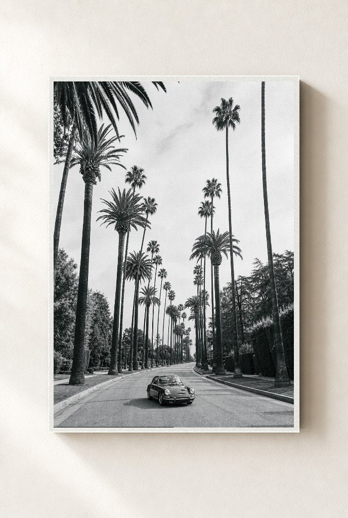 Beverly Palms, framed, white
