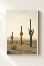 Three Giants, framed, white