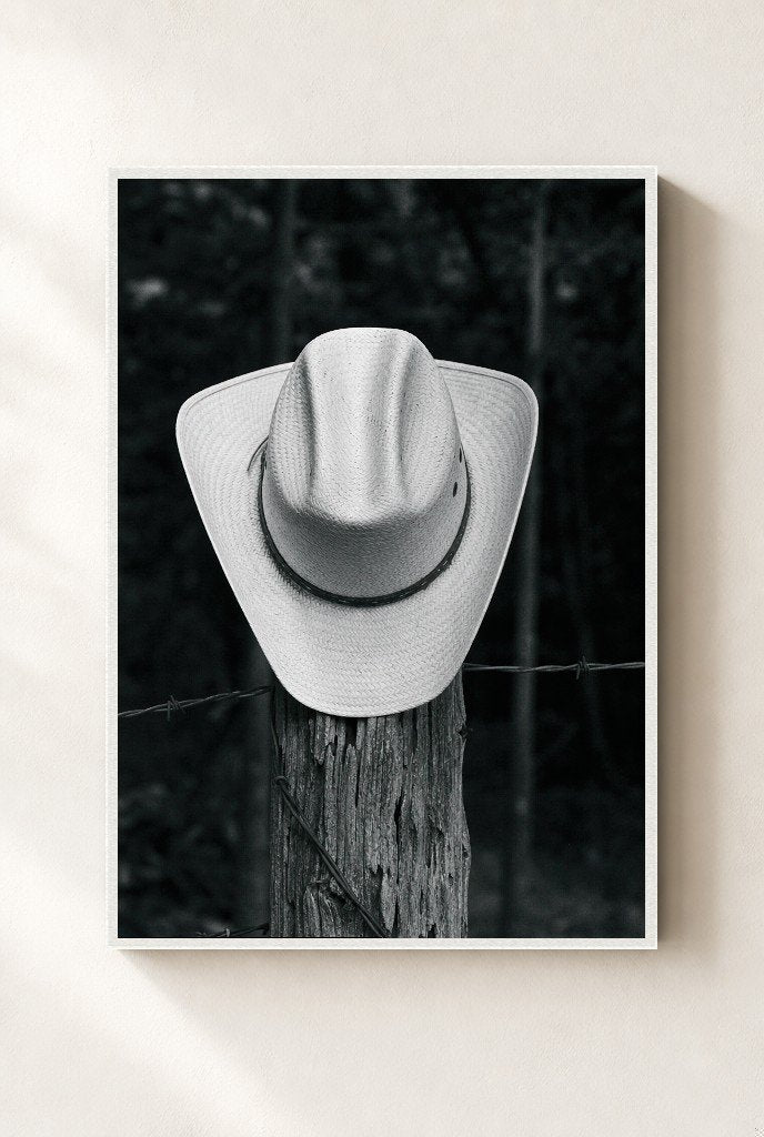 Hat on a Fencepost, framed, white