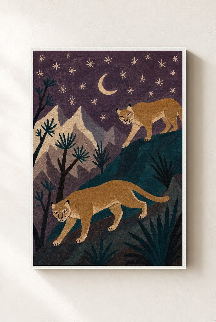 Leopards, Loose, framed close-up, white