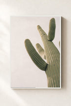 Saguaro, Up Close, framed, white