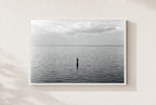 Two Up From the Deep, framed, white
