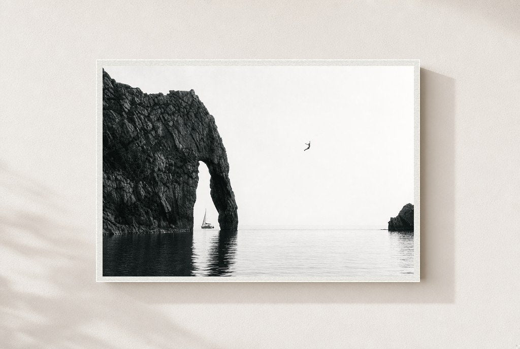 Sea Arch, One Bird, framed, white