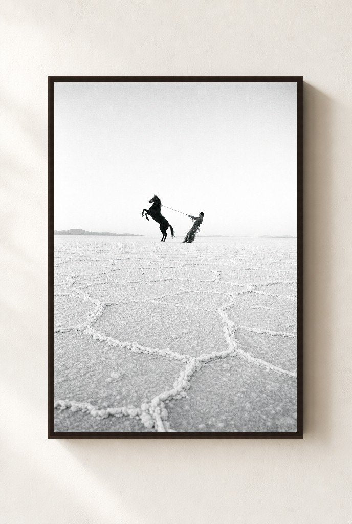 Horse on the Salt Flats, framed, walnut