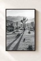 Long Shadows, Joshua Tree, framed, walnut