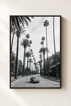 Beverly Palms, framed, walnut