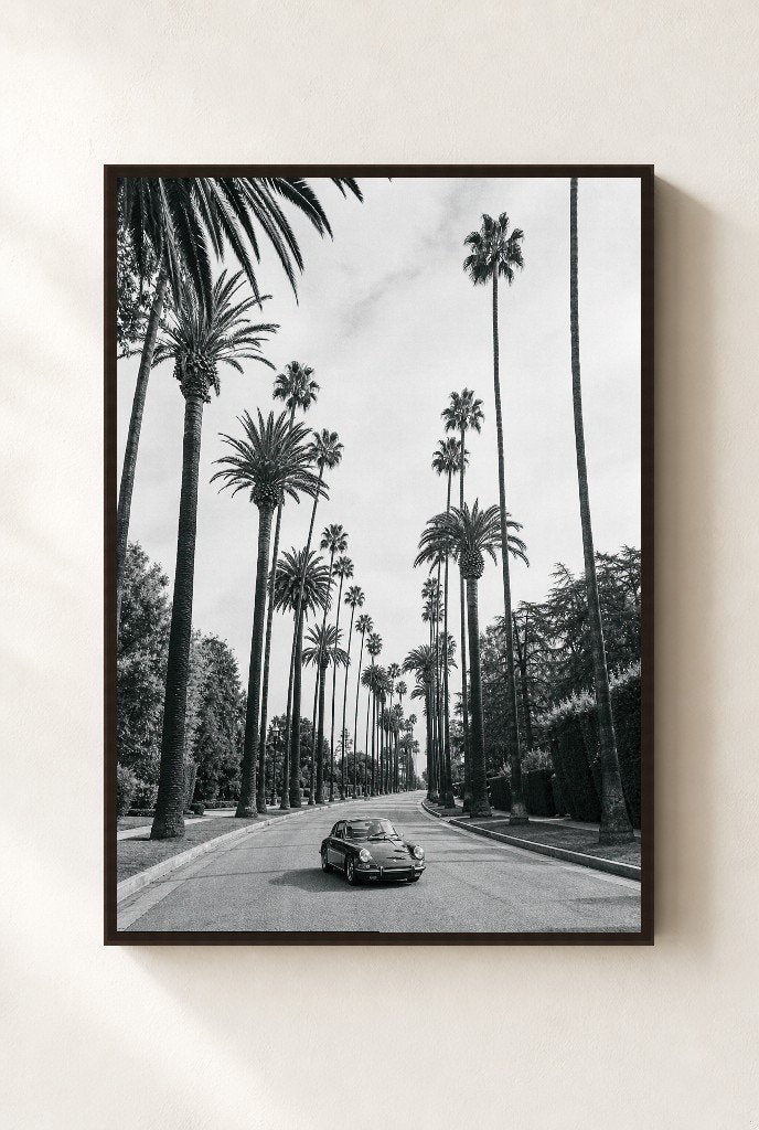 Beverly Palms, framed, walnut