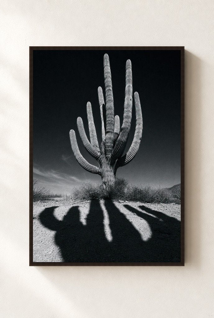 Cactus Noir, framed, walnut