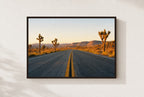 Joshua Tree Two-Lane, framed, walnut