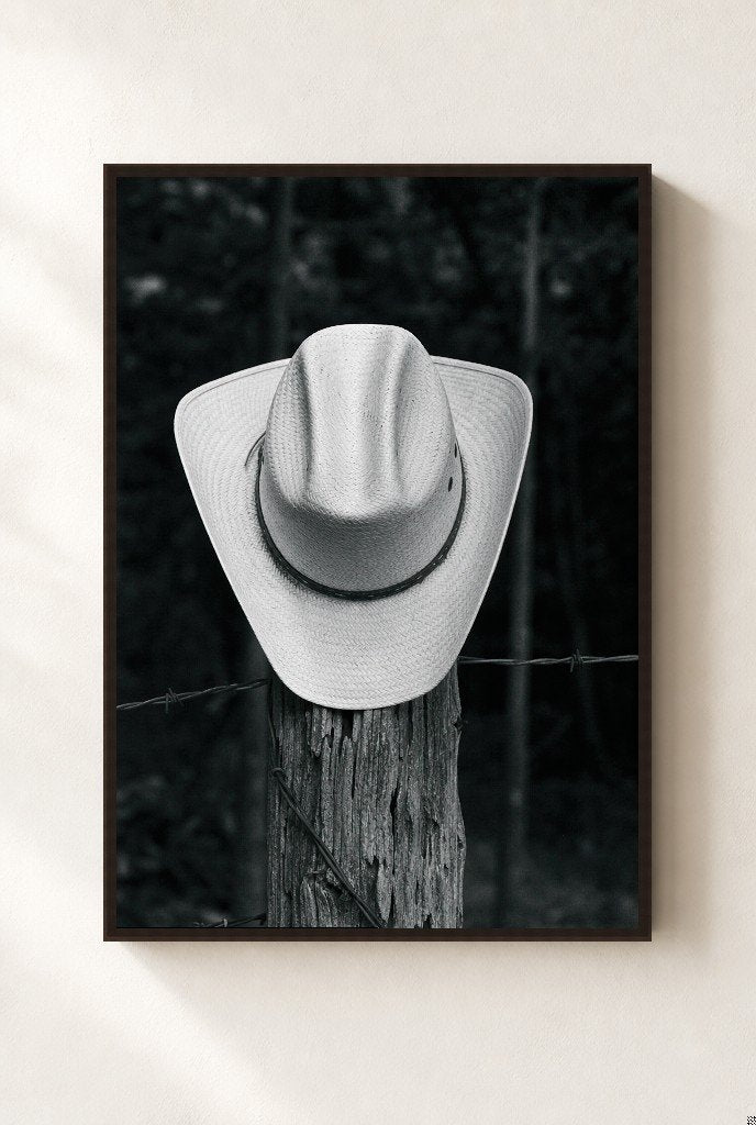 Hat on a Fencepost, framed, walnut