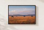 Horses, No Hurry, framed, walnut