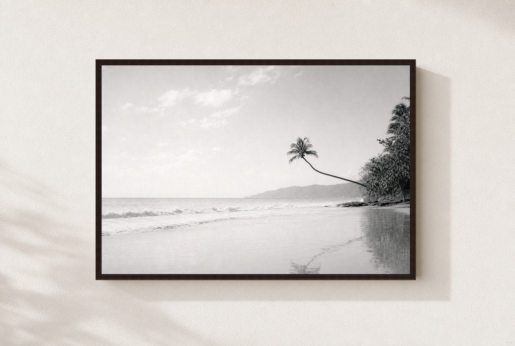 The Leaning Palm, framed, walnut