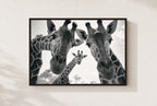 Two Necks, One Secret, framed, walnut