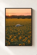 Hidden in the Sunflowers, framed, walnut
