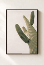 Saguaro, Up Close, framed, walnut