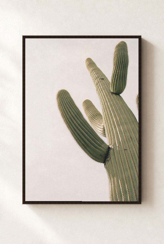 Saguaro, Up Close, framed, walnut